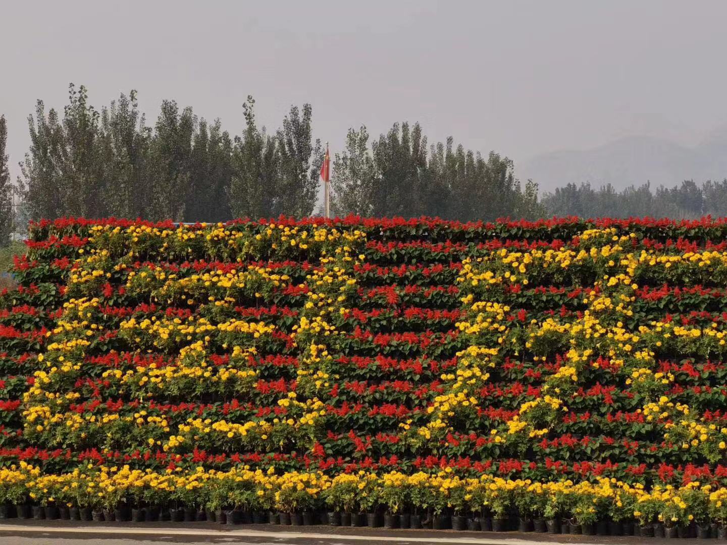 錦繡中華 盛世華誕(圖2)