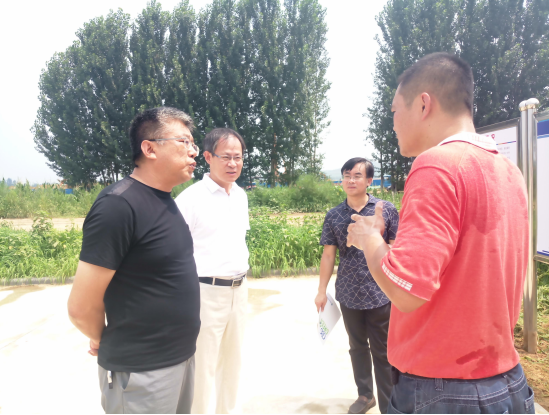 Mayor Zhang Ruishu inspected Qinhuangdao Seiko Green Building Company and listened to the report on the construction of the project (Figure 2)